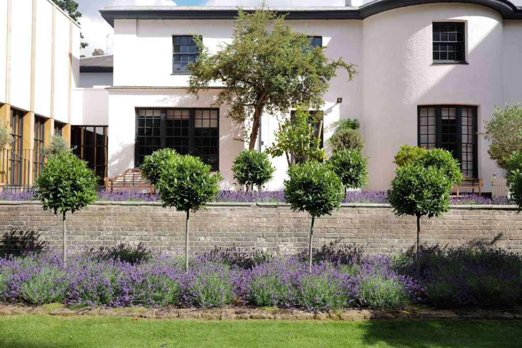 Thorpe Lodge Exterior, Garden View 
