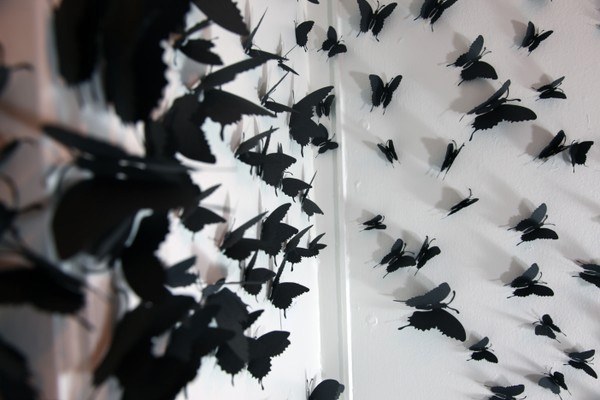 The Butterfly Room
